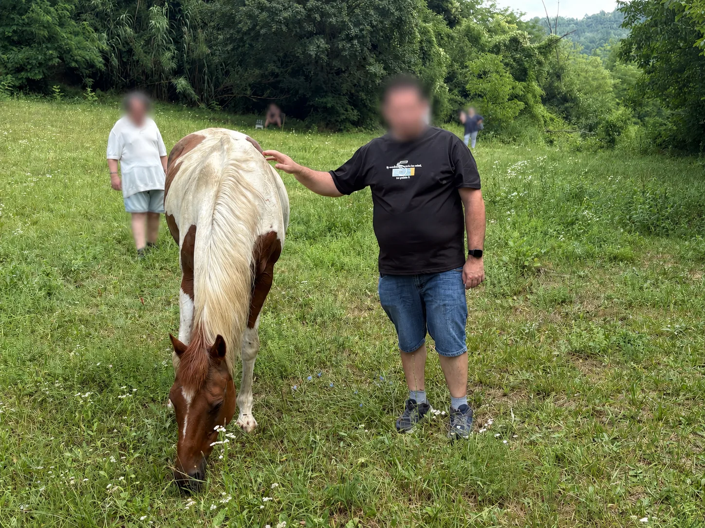 Un momento di relazione con un cavallo al pascolo durante un'attività assistita